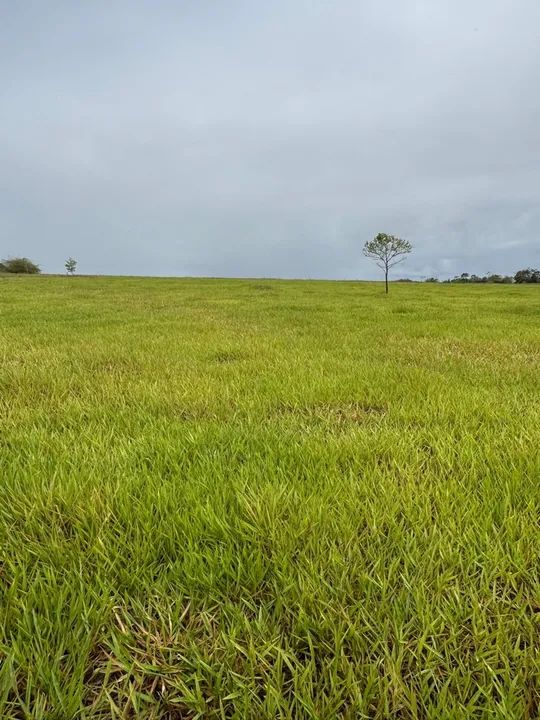 Vendo fazenda em Estância - Foto 2