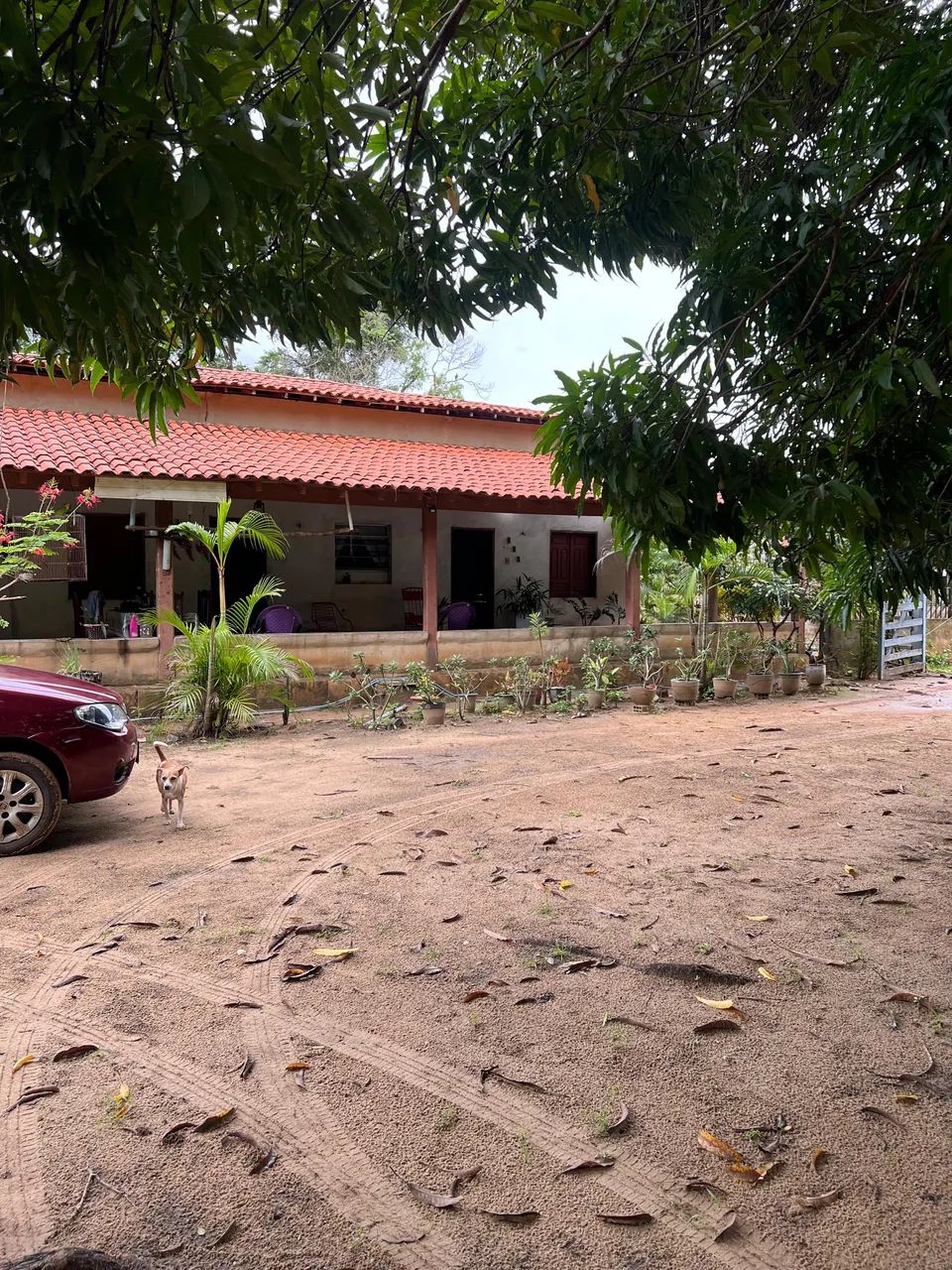 CASA NO INTERIOR  - Foto 2