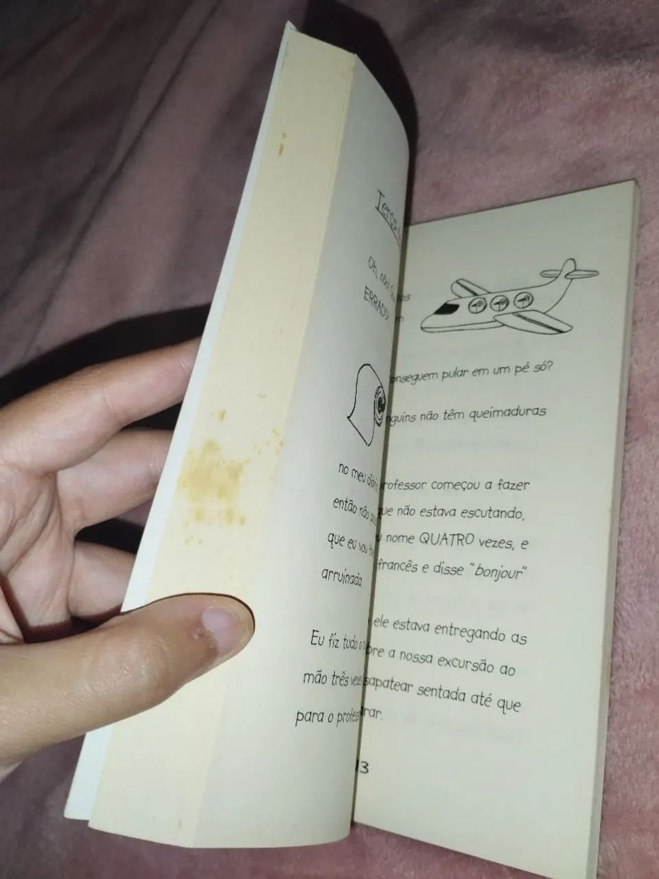 O diário da Pippa Morgan - Foto 5