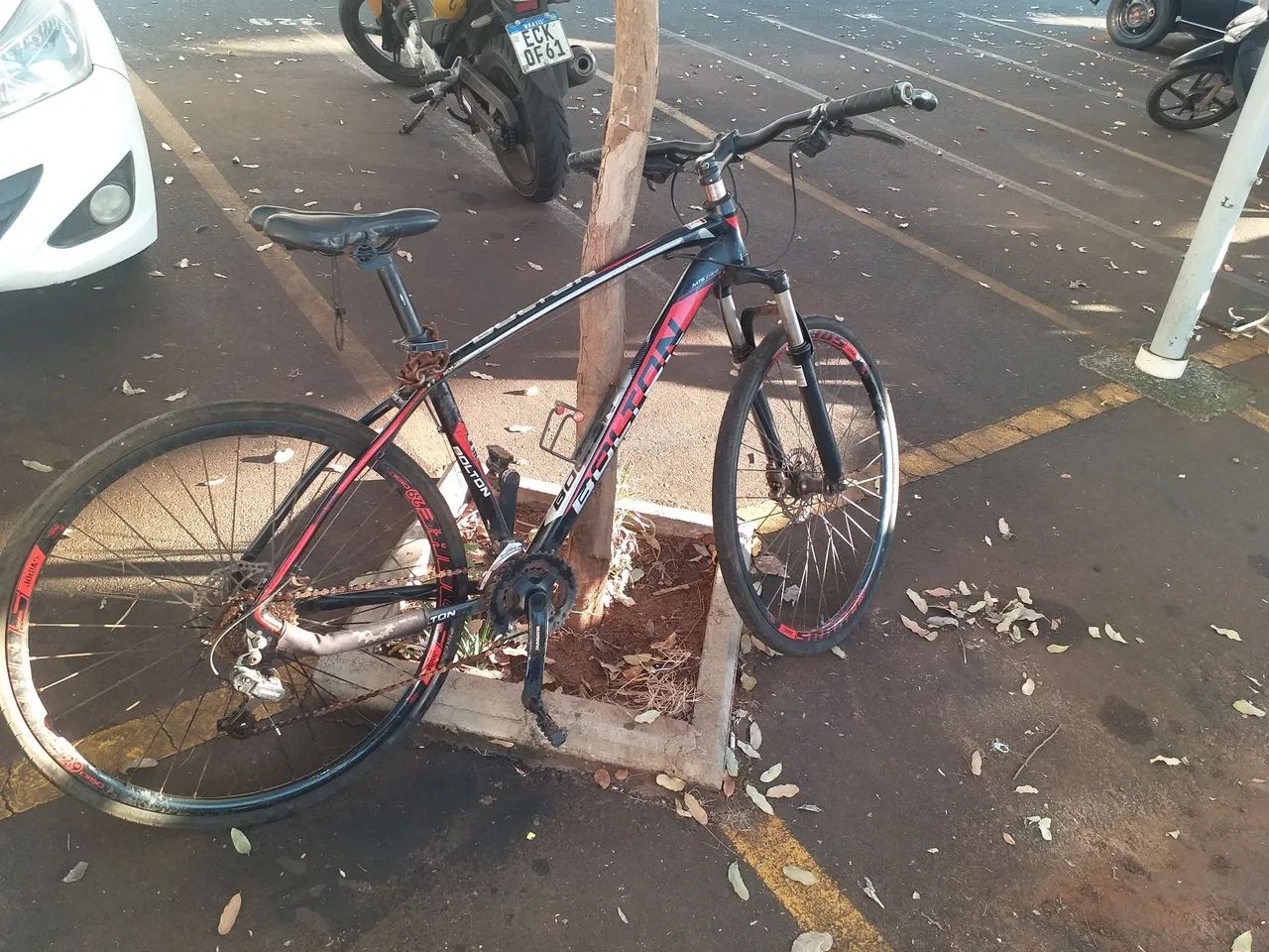 Bicicleta  - Foto 2