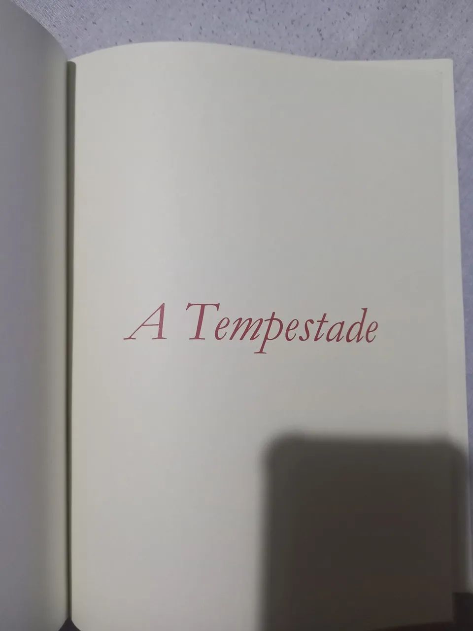 Livro a tempestade  - Foto 2