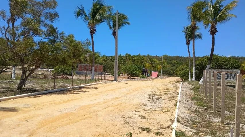 Terreno em Lagoa Redonda  - Foto 4