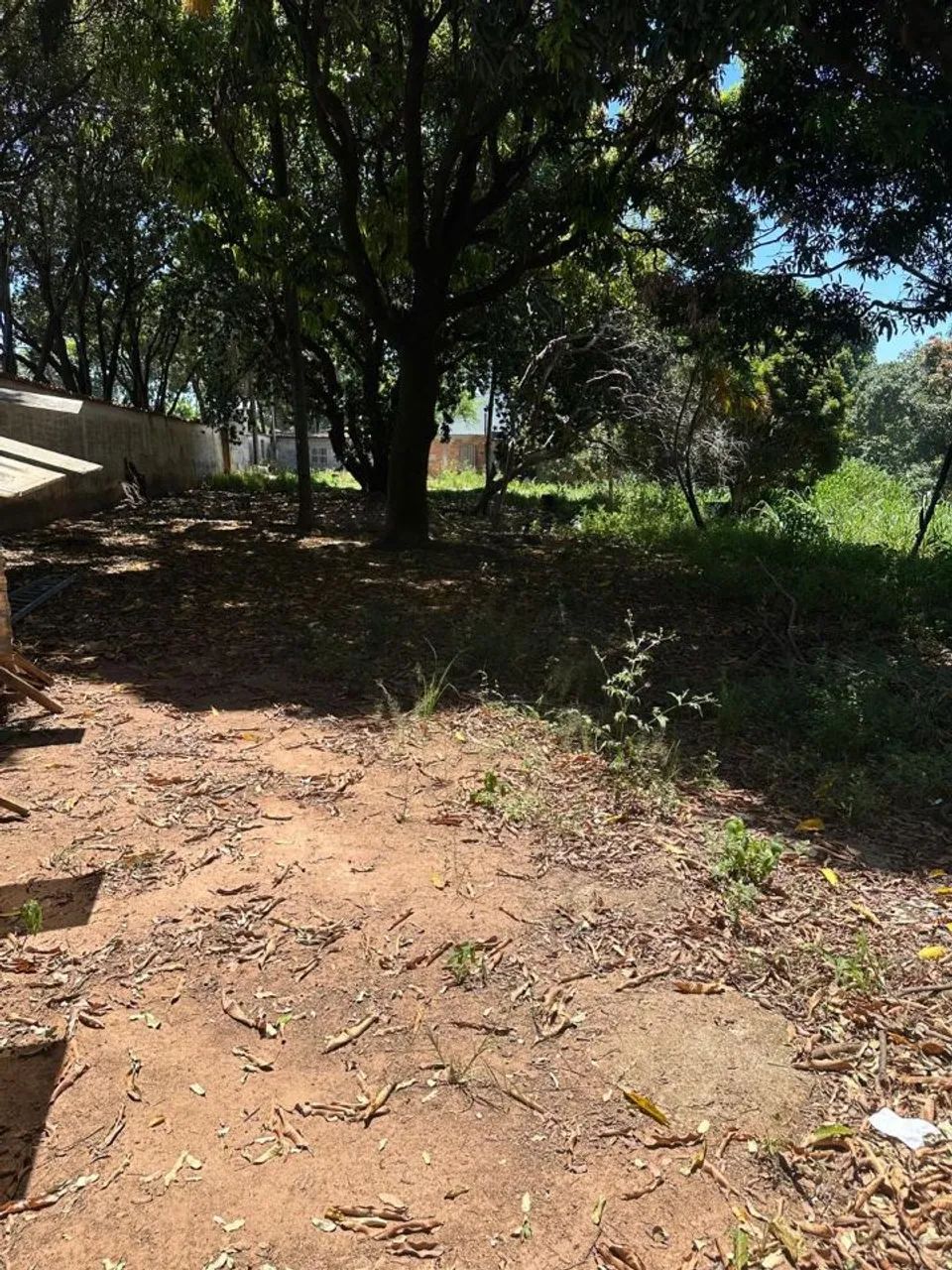 Excelente Lote - Garças - Foto 2