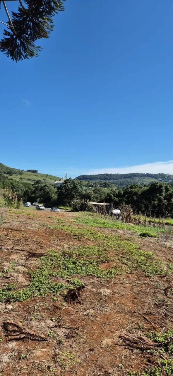 Terreno rural a venda  - Foto 3