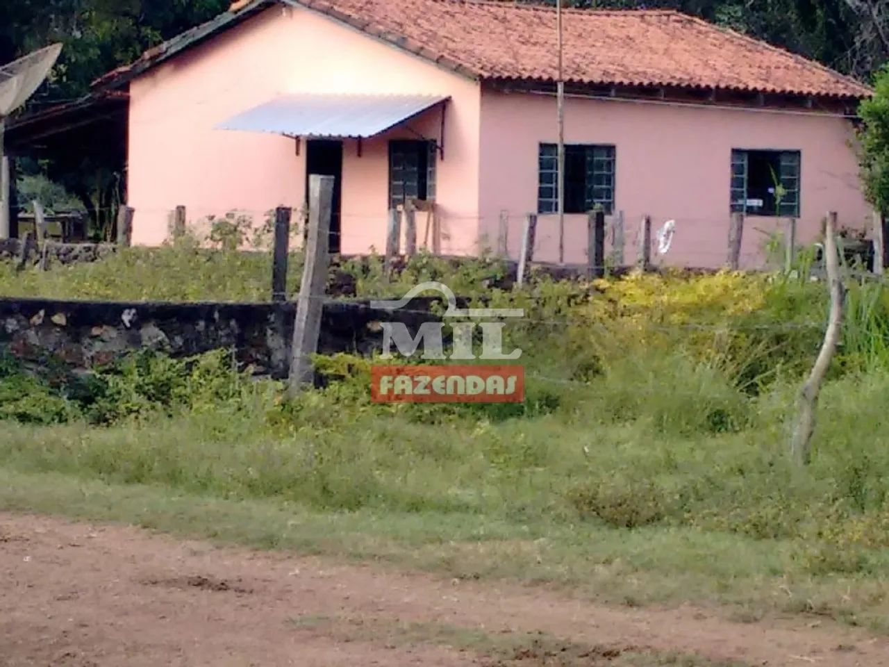 Fazenda em Figueiropolis - TO. 163 Alq. (792 Há) - Foto 4