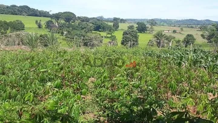 CHACARA PROXIMA A NOVA VENEZA - Foto 2