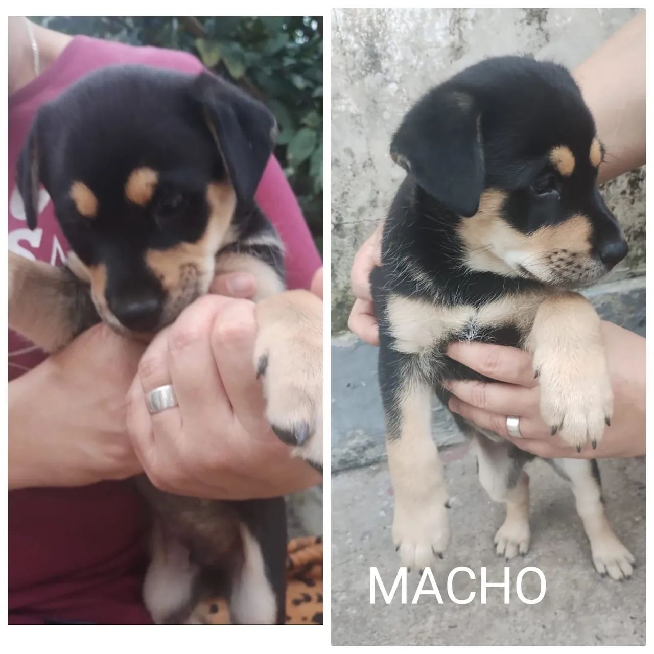 Doação  - Foto 2
