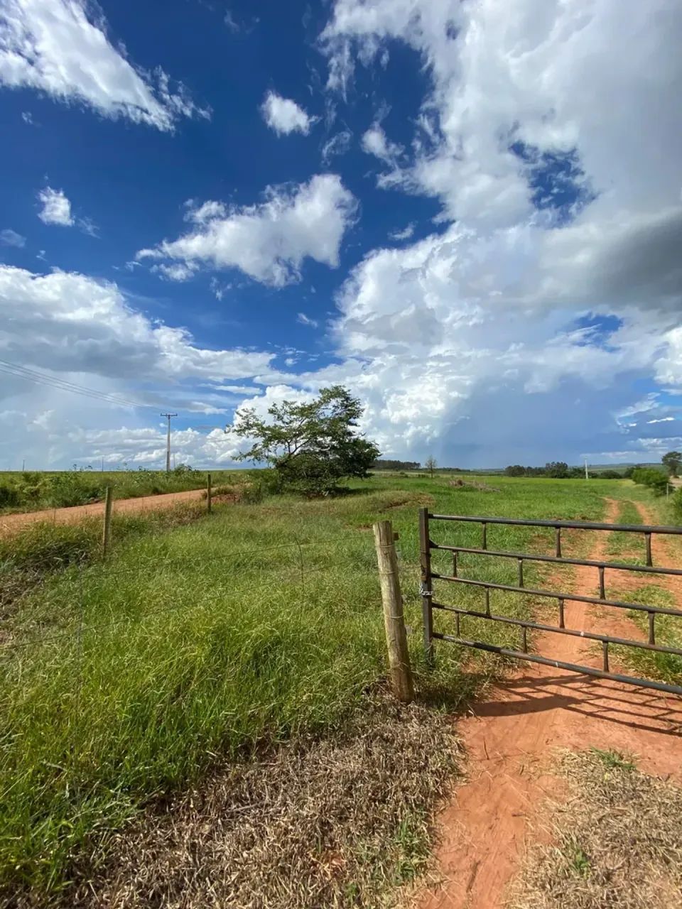 OPORTUNIDADE RURAL EM CIANORTE - Foto 2