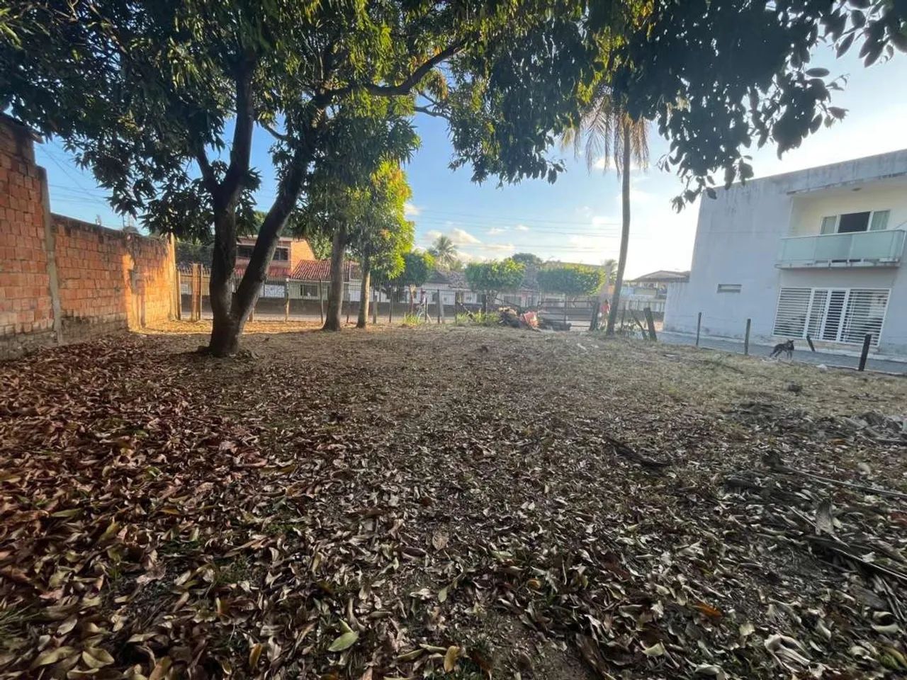 Terreno Urbano para Venda em Satuba, Centro