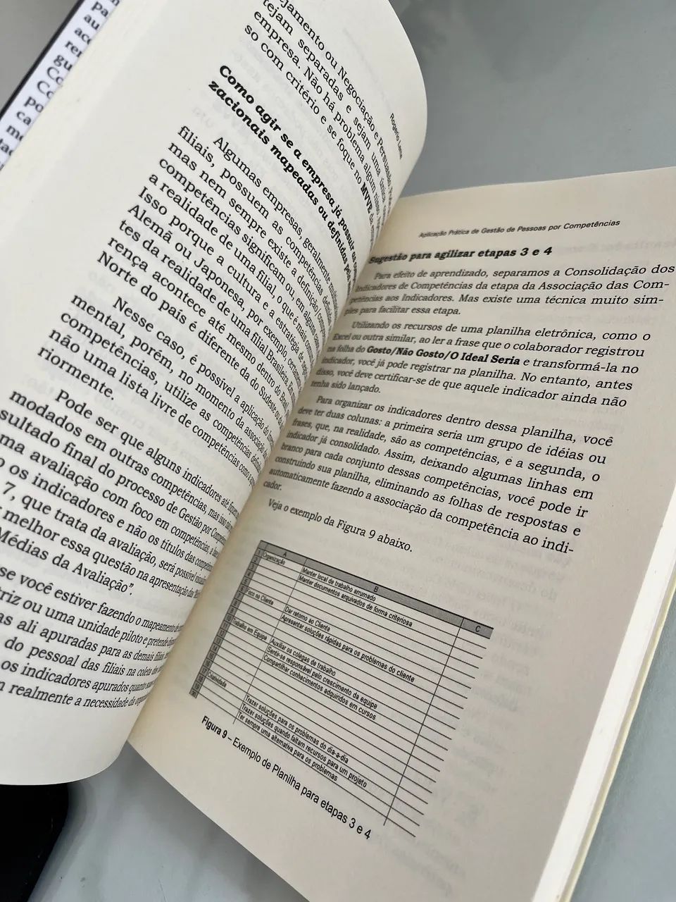 Aplicação prática de gestão de pessoas por competências - Foto 2