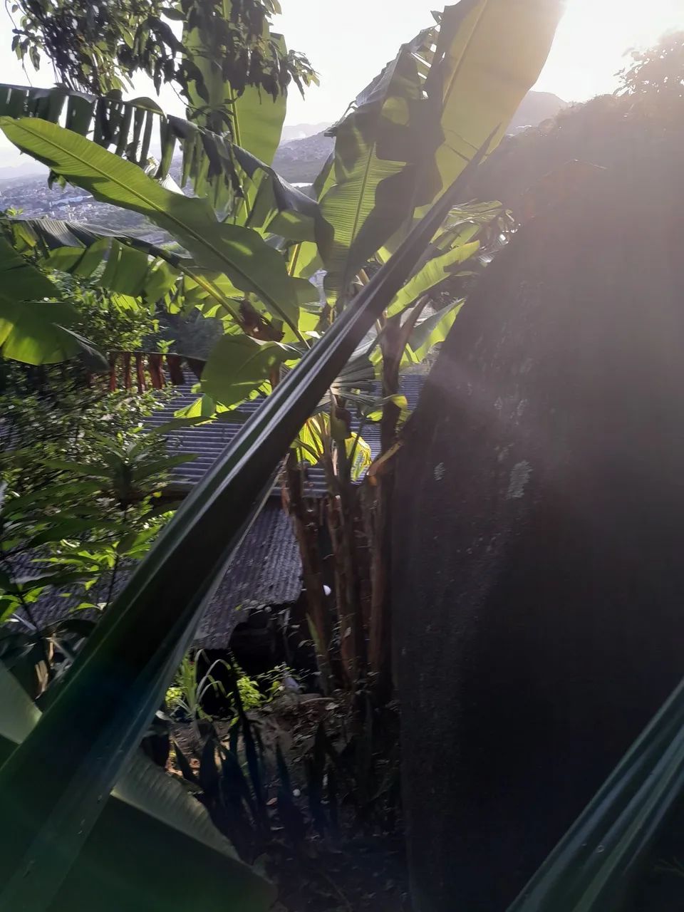 VENDO TERRENO EM JABURUNA  - Foto 2