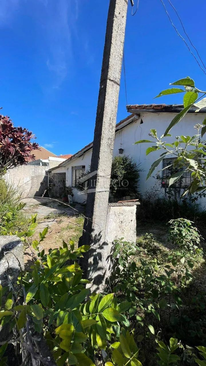 Terreno - Cajuru - Foto 5