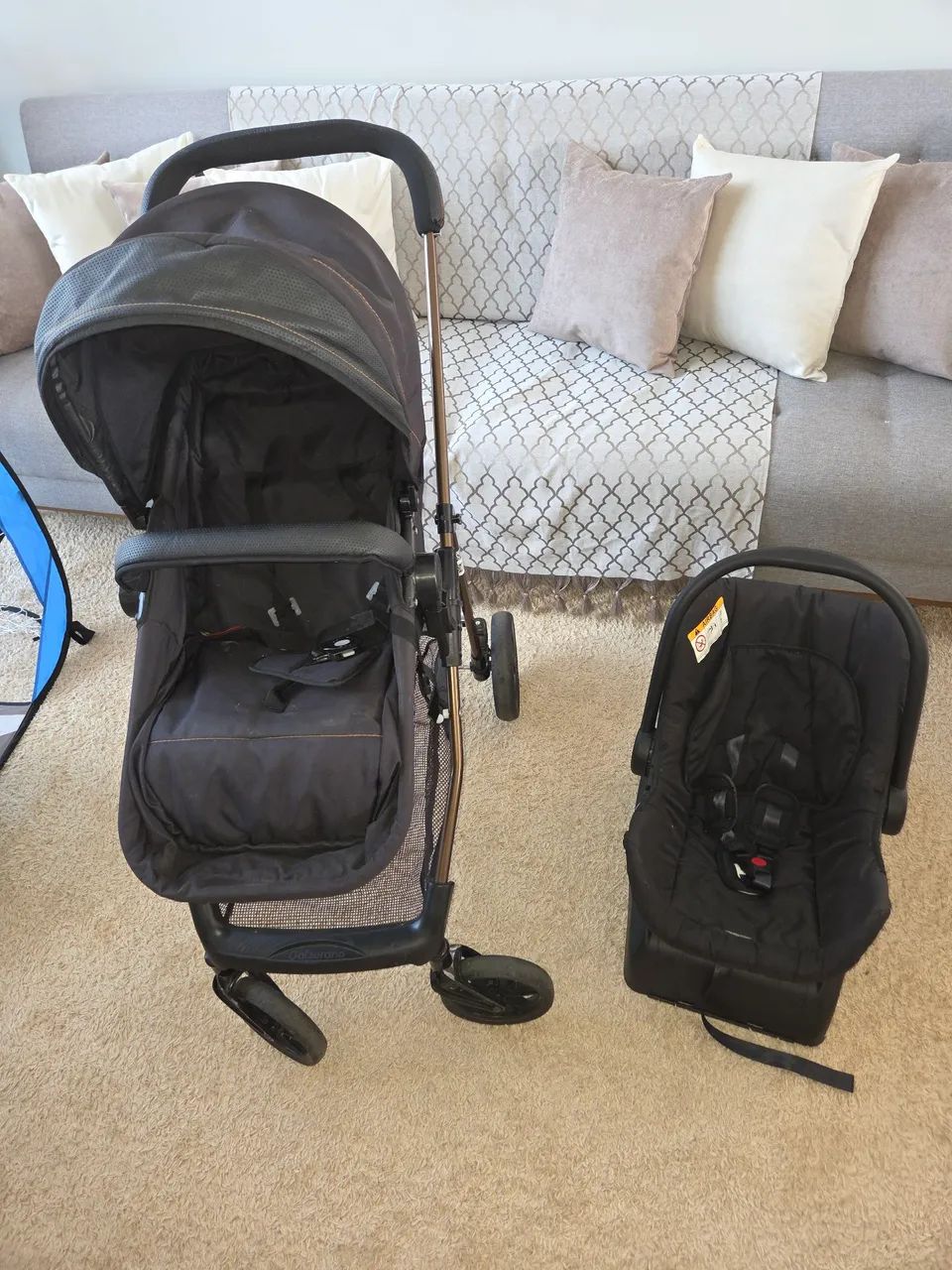 Carrinho e Bebê Conforto Moisés Galzerano