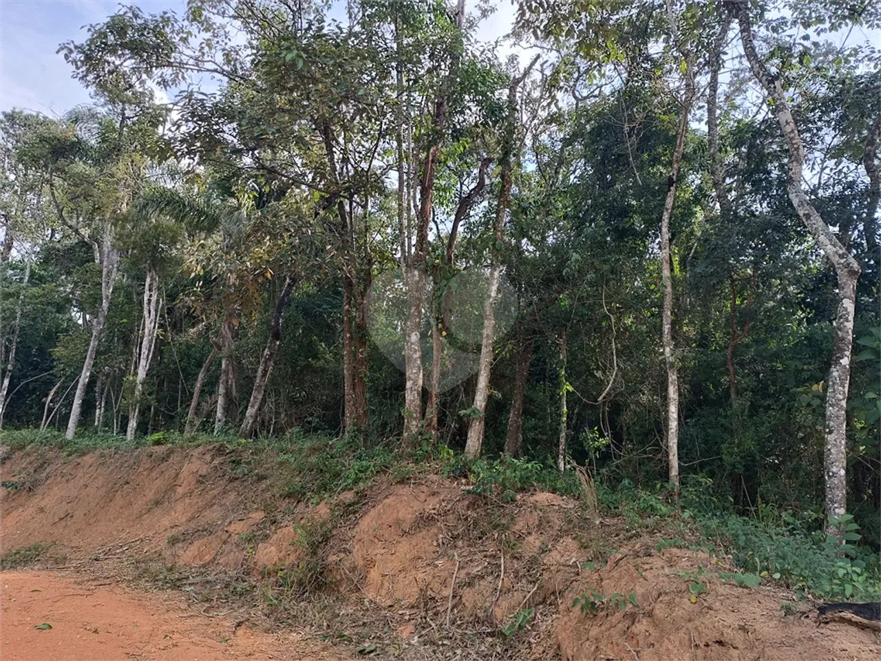 Terreno a venda - Foto 5