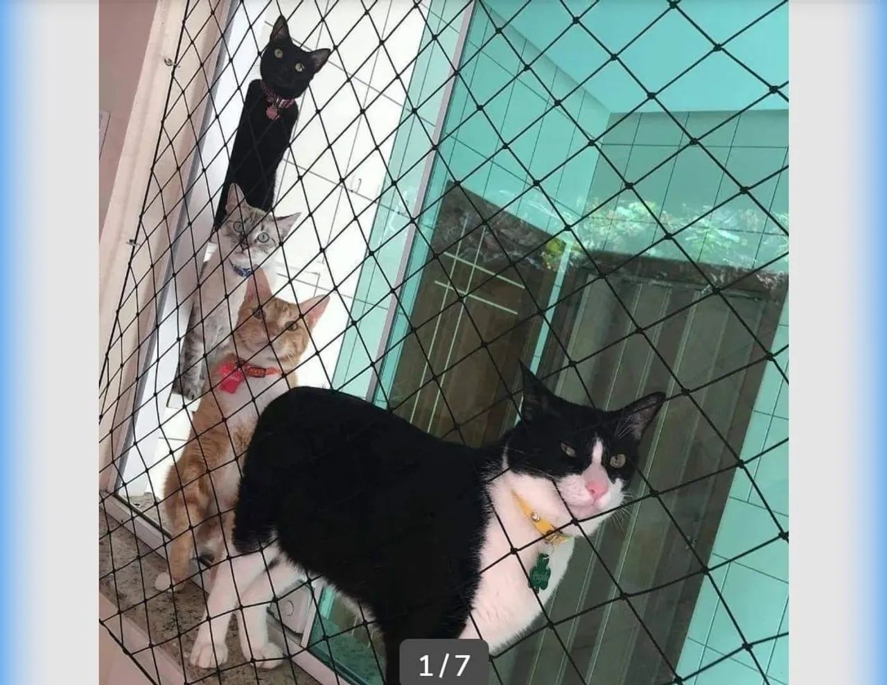 Telas de Proteção 