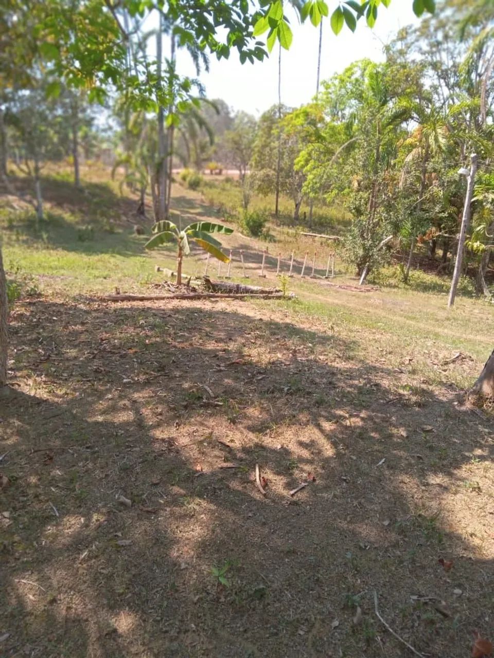 Terreno no Tarumã-Açú 200x1000 - Foto 4