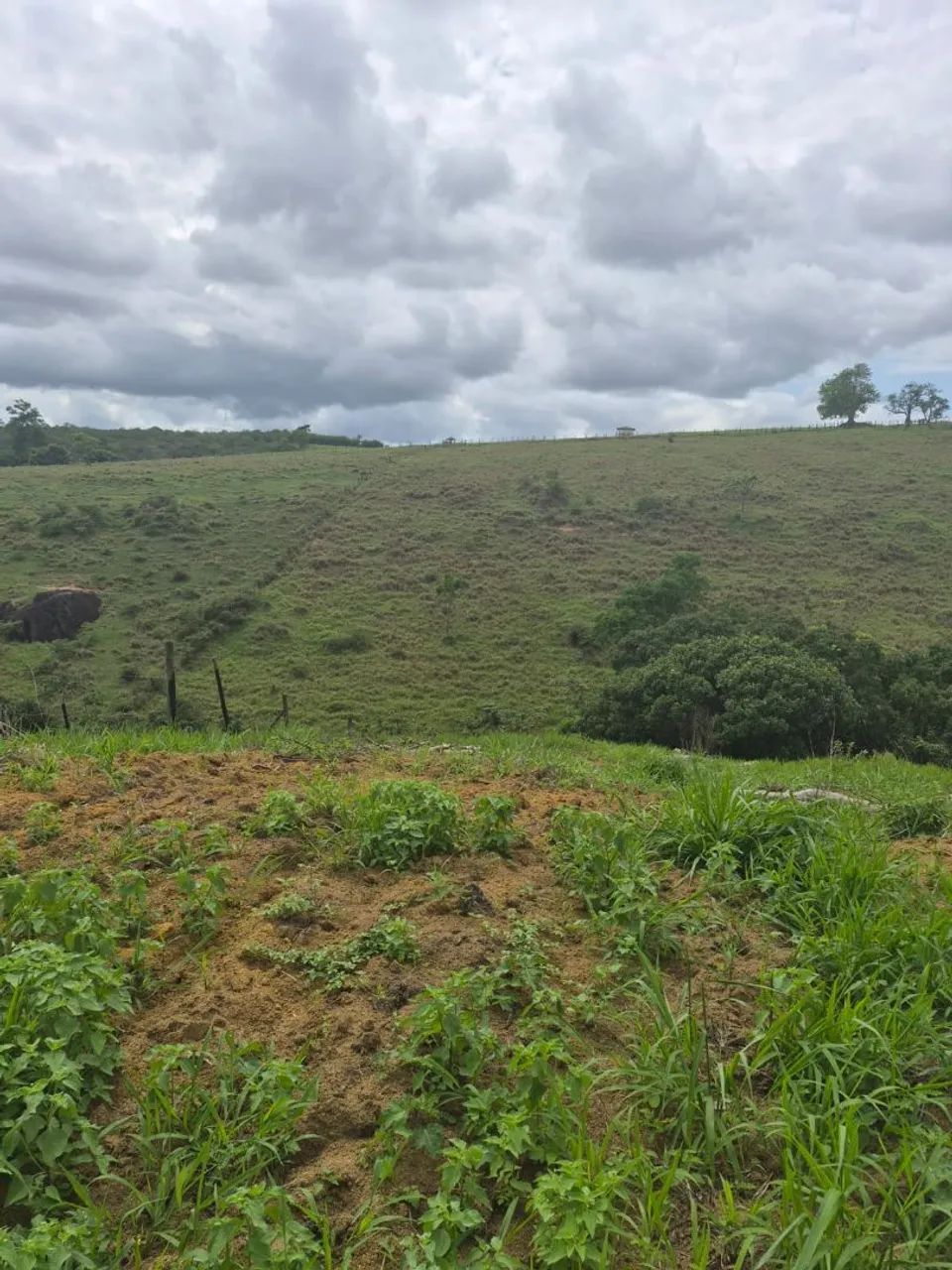 Terreno