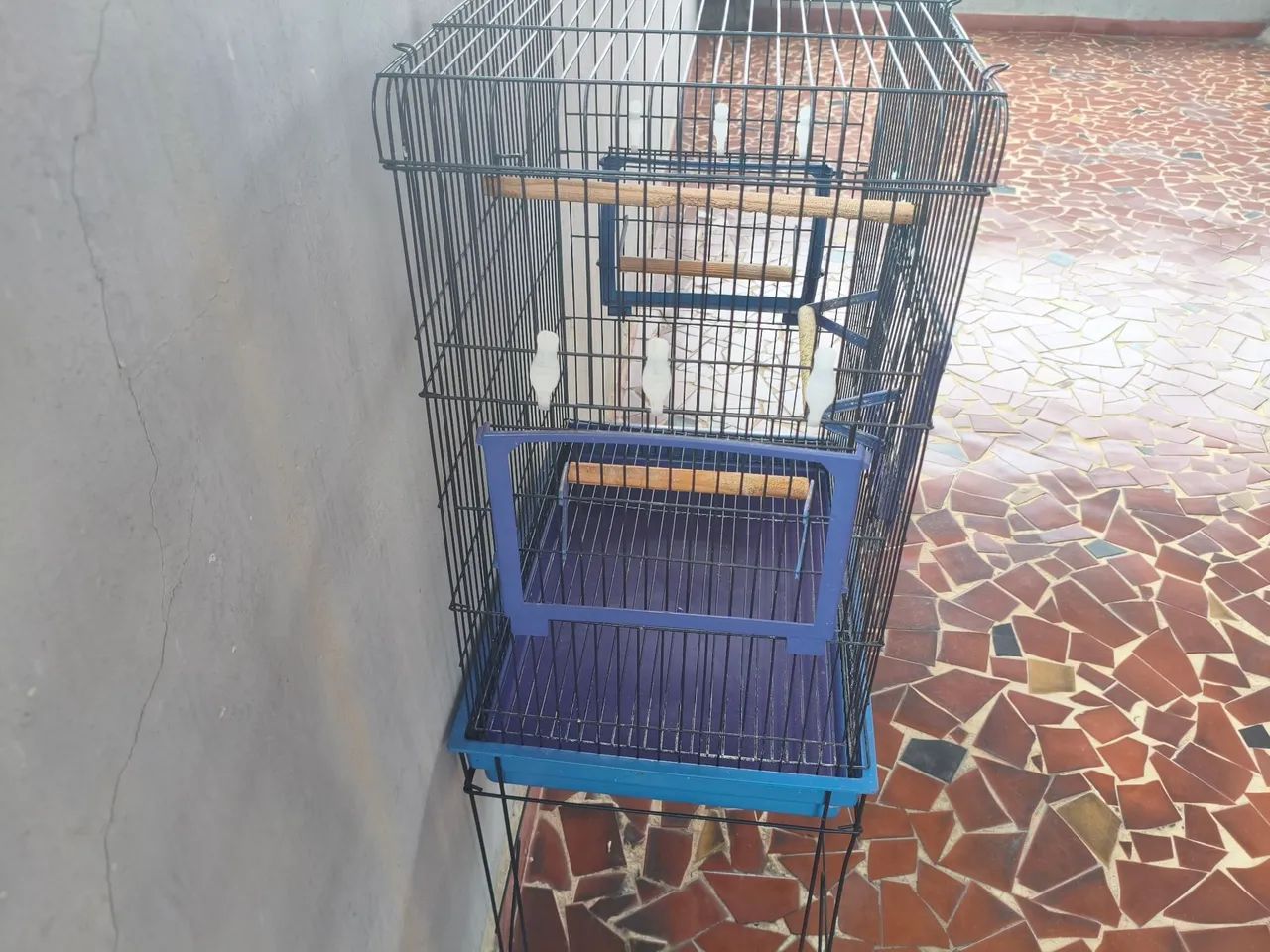 Gaiola para calopsita - Foto 2
