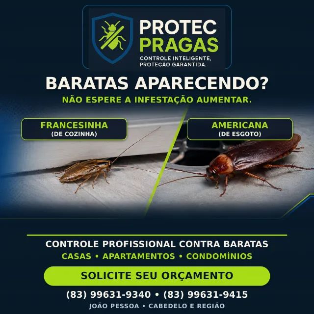 Dedetização Eficiente