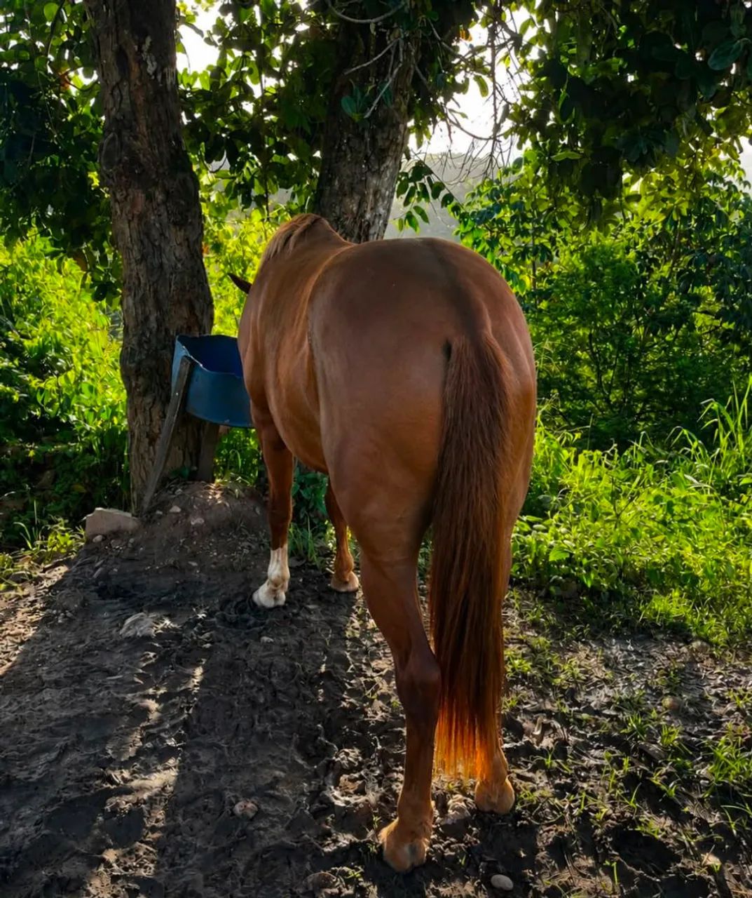 Pra vende ligeiro  - Foto 2