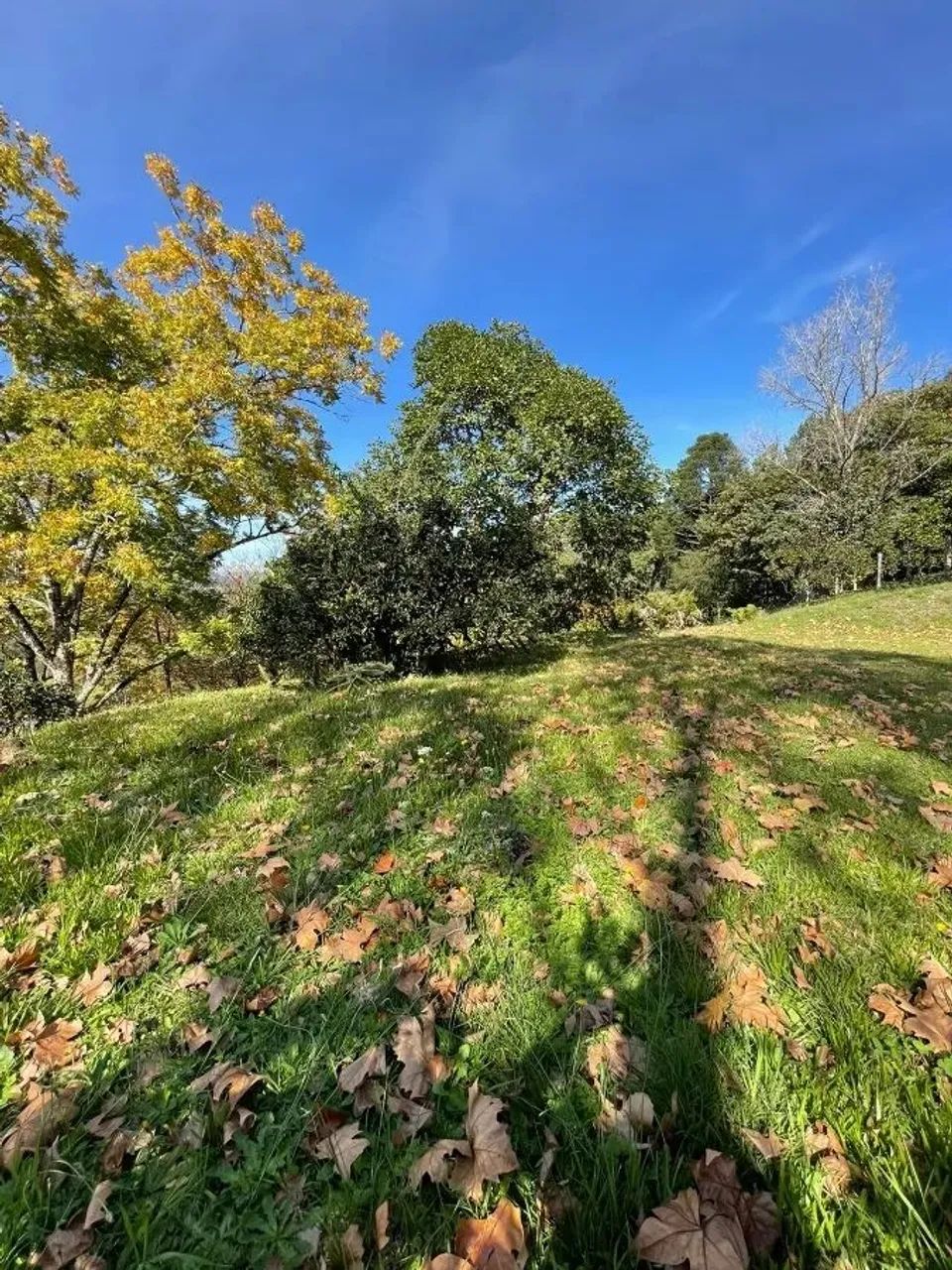 CAXIAS DO SUL - Terreno Padrão - LINHA 40 - Foto 8