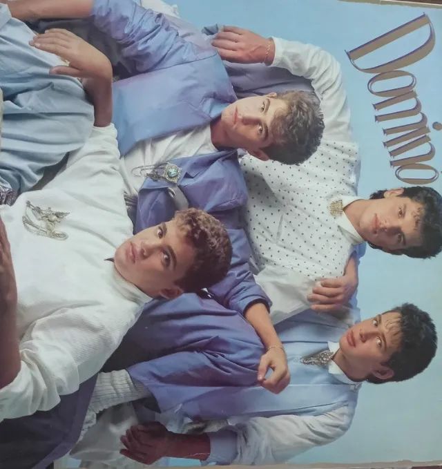 LP - Disco vinil Dominó 