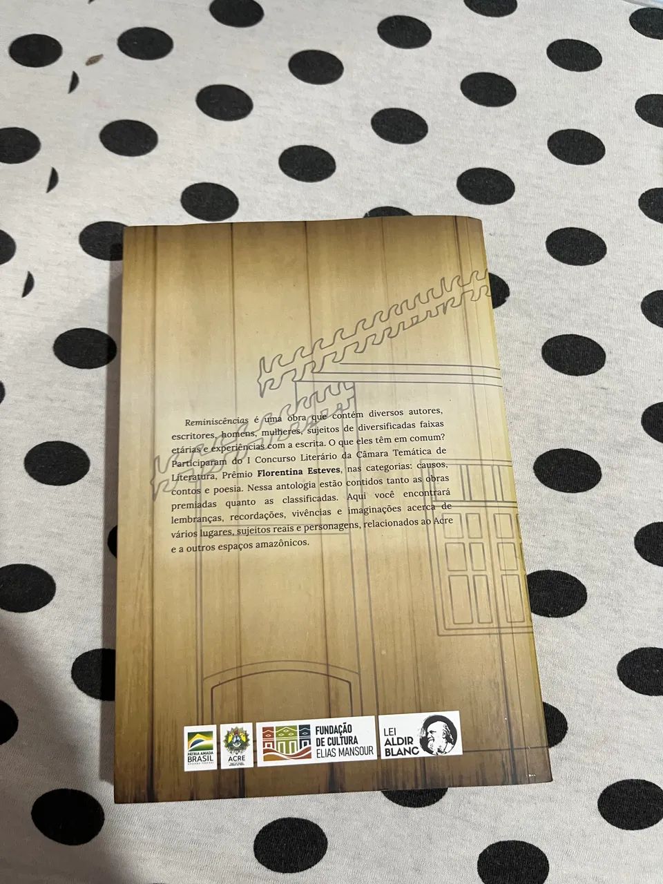 Livro reminiscência  - Foto 2
