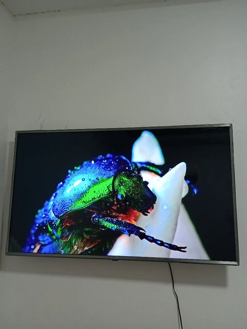 Tv smart LG 4k 50 polegadas semi nova R$1.350