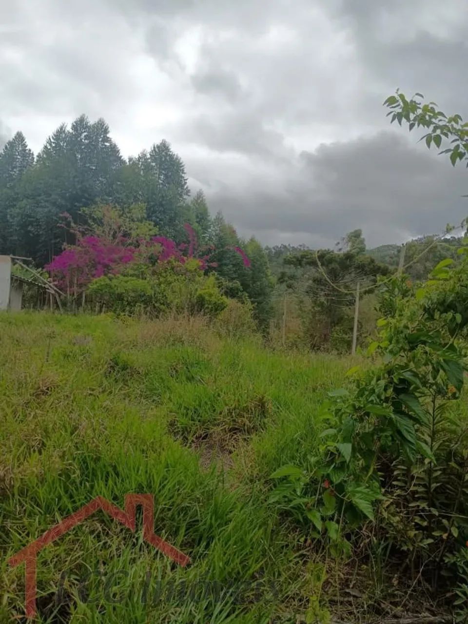 Terreno Rural para Venda em Salesópolis, Paraitinguinha - Foto 5