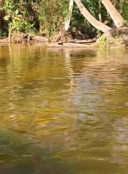 Terreno com com ária verde e rio