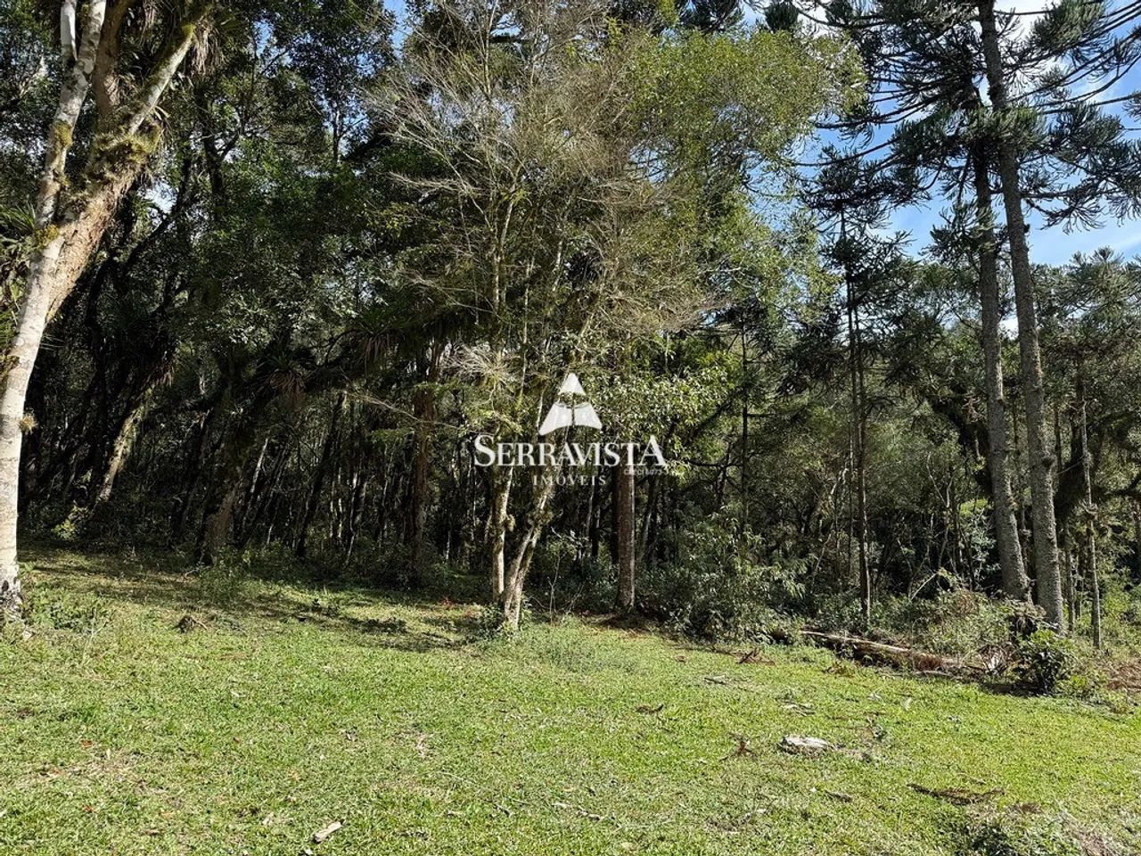 Área para chácara com pastagem e nascente-44.475m2 - Foto 5