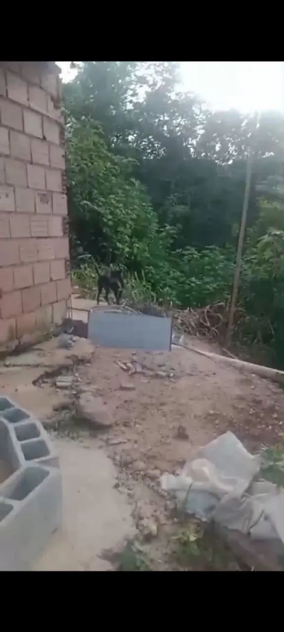 Vendo lote com barracão inacabado - Foto 2
