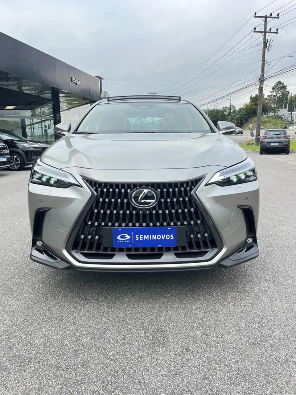 Lexus NX-450h+ AWD 2.5 16V Aut. (Híbrido), foto 6 de 14
