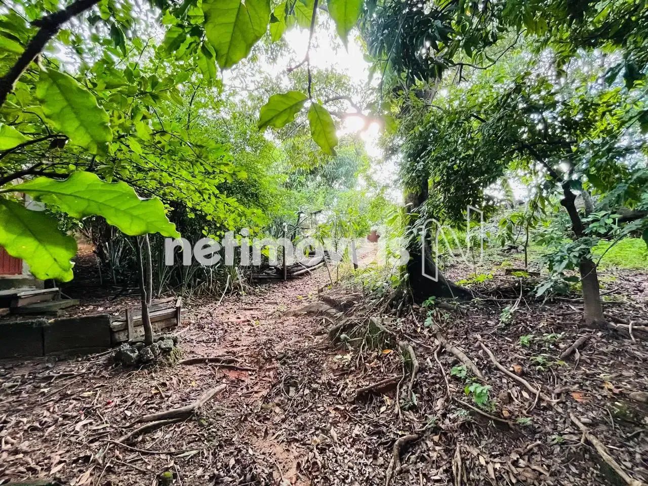 Lote de 300m²; no Pindorama! - Foto 5