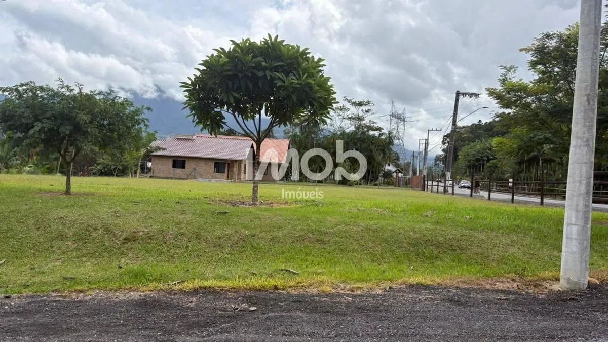 LOTE/TERRENO, SCHOREDER - Foto 4