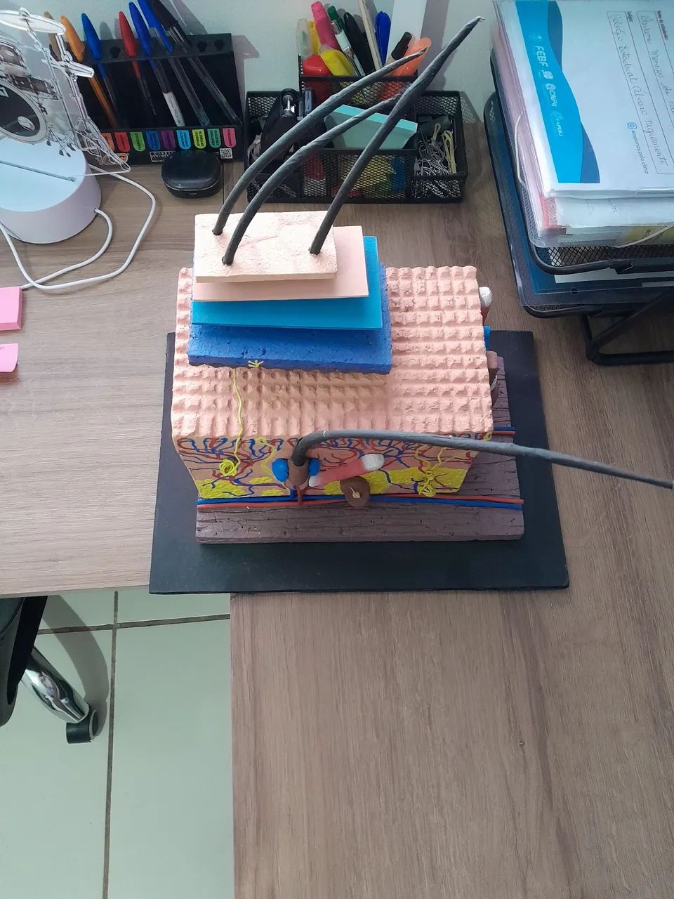 MAQUETE CAMADAS DA PELE  - Foto 3