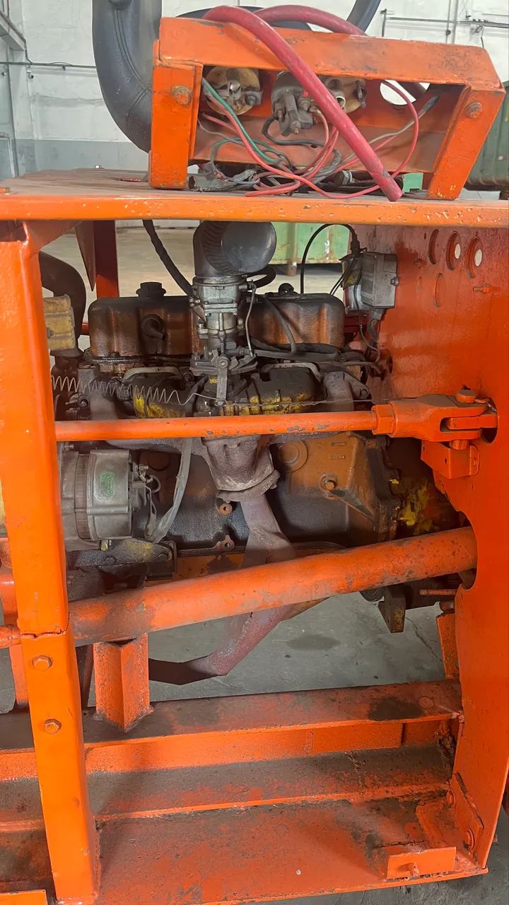 Guincho canarinho  - Foto 4