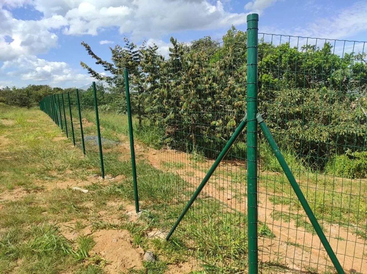 Tela Soldada revestida PVC Verde instalada com postes metálicos 