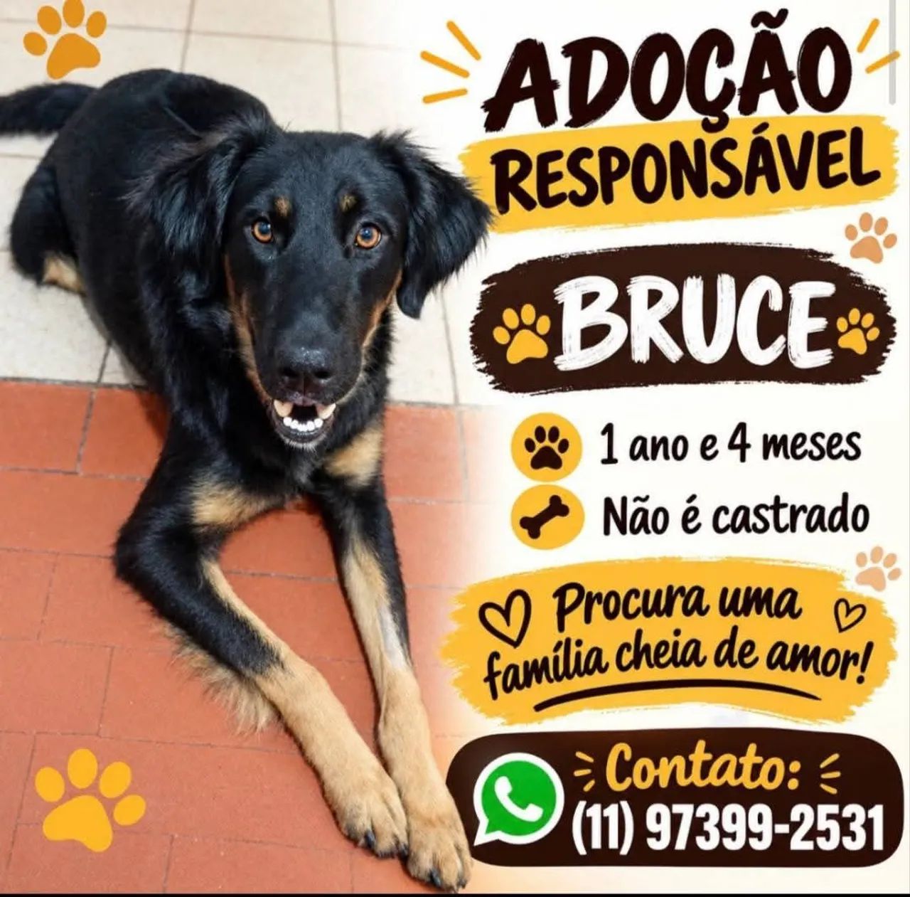 Doação  