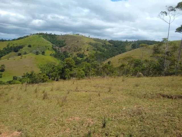 Fazenda 63Hectares Ibicui-Ba - Foto 3