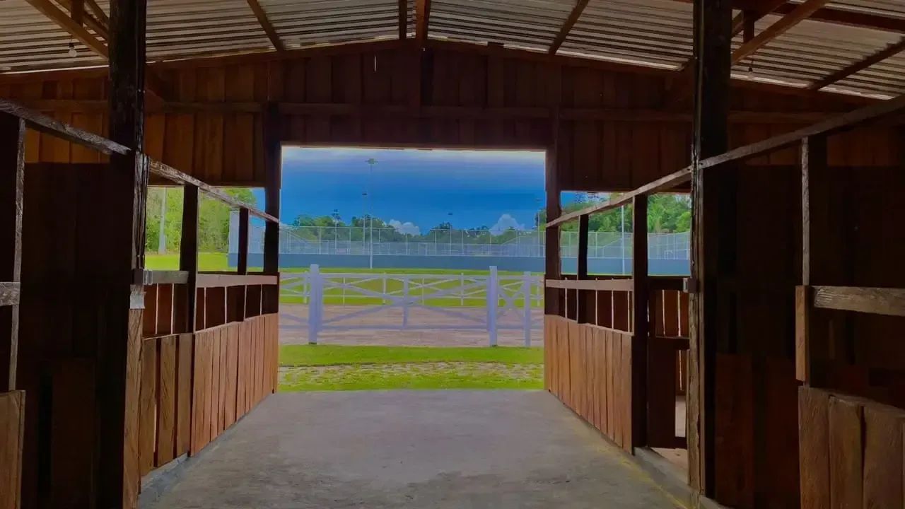 Lotes 100% Documentados- CHÁCARAS DA FAZENDA - Foto 3