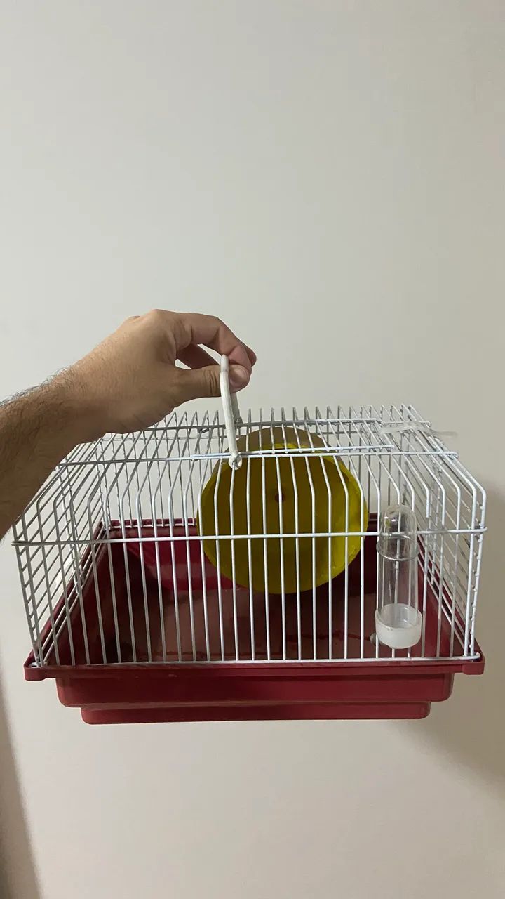 Gaiola pequena para Hamster  - Foto 2