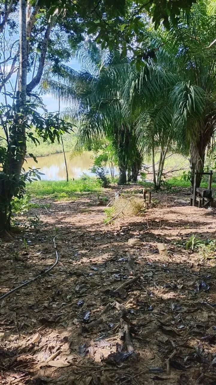 Chácara  - Foto 2
