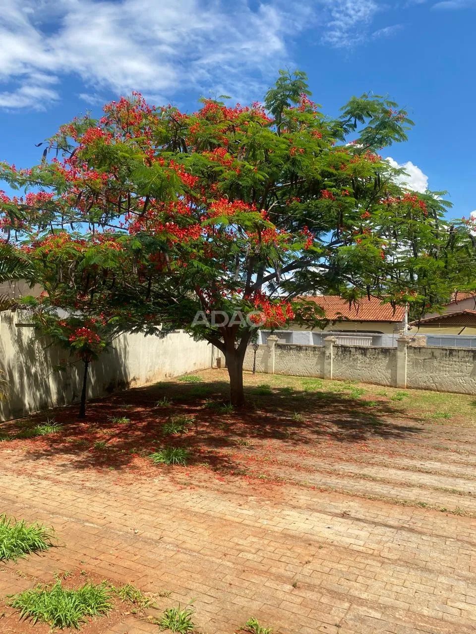 SOBRADO SETOR SUL - Foto 3