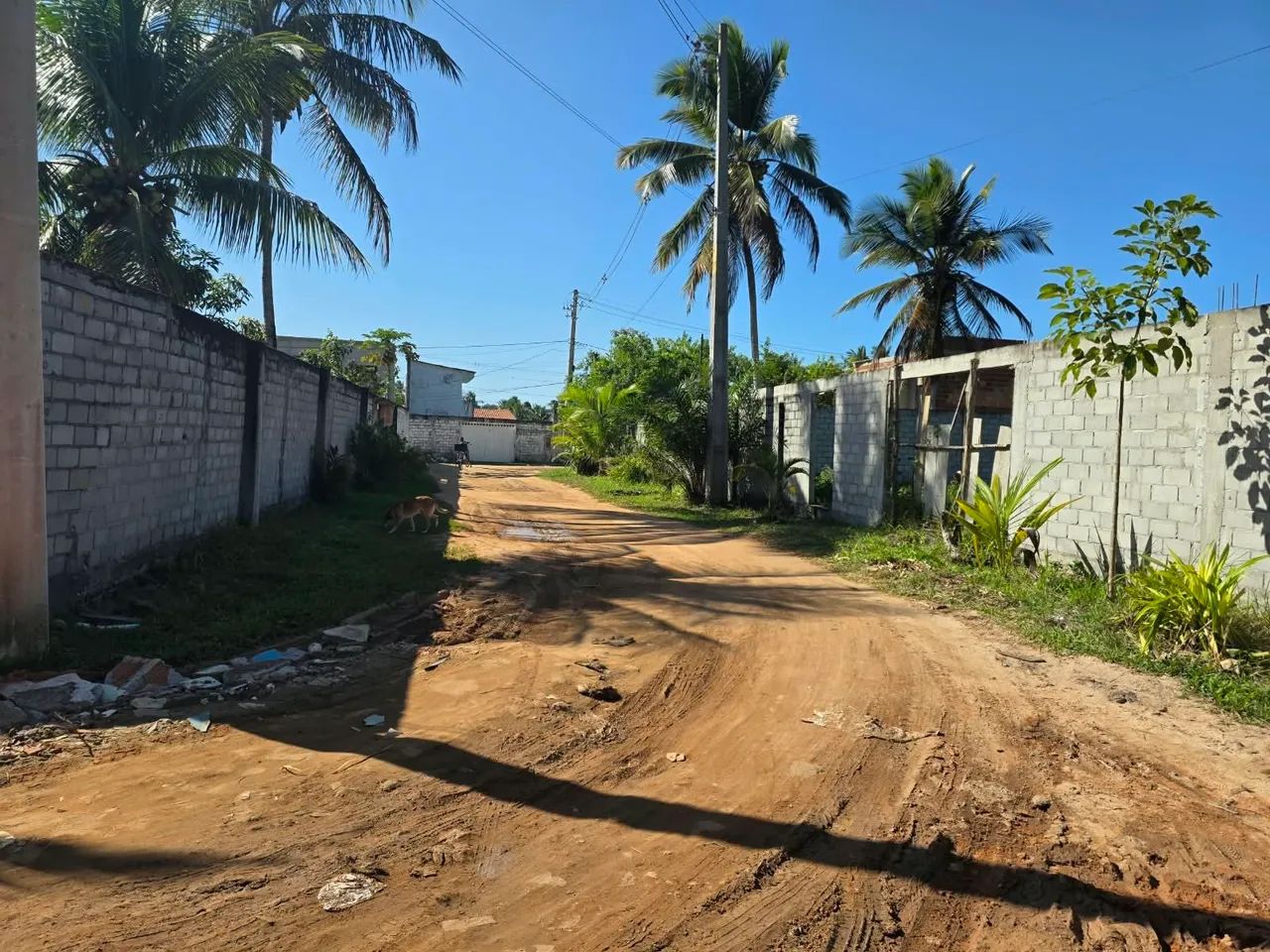 Terreno - Foto 4