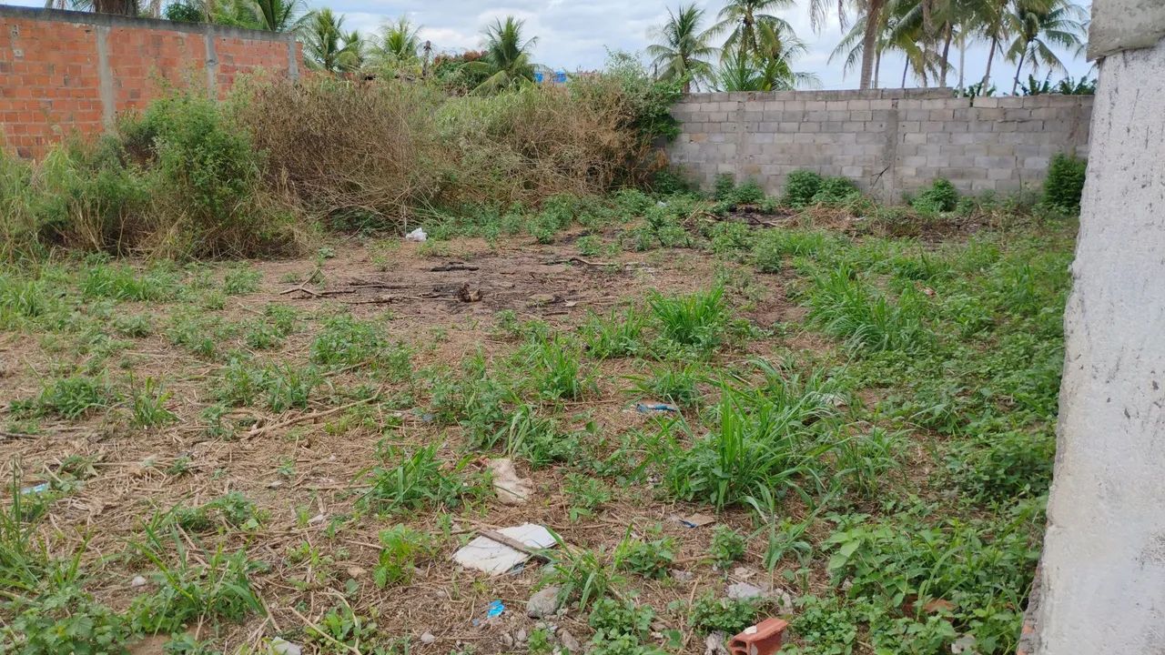 Terreno - Foto 3