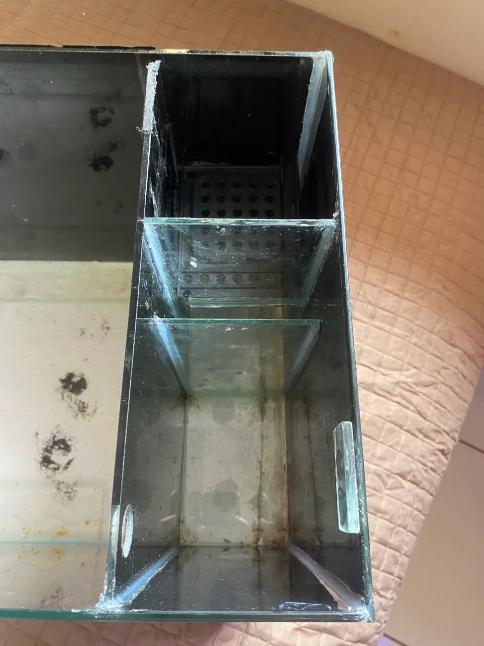 Aquário com sump lateral  - Foto 2