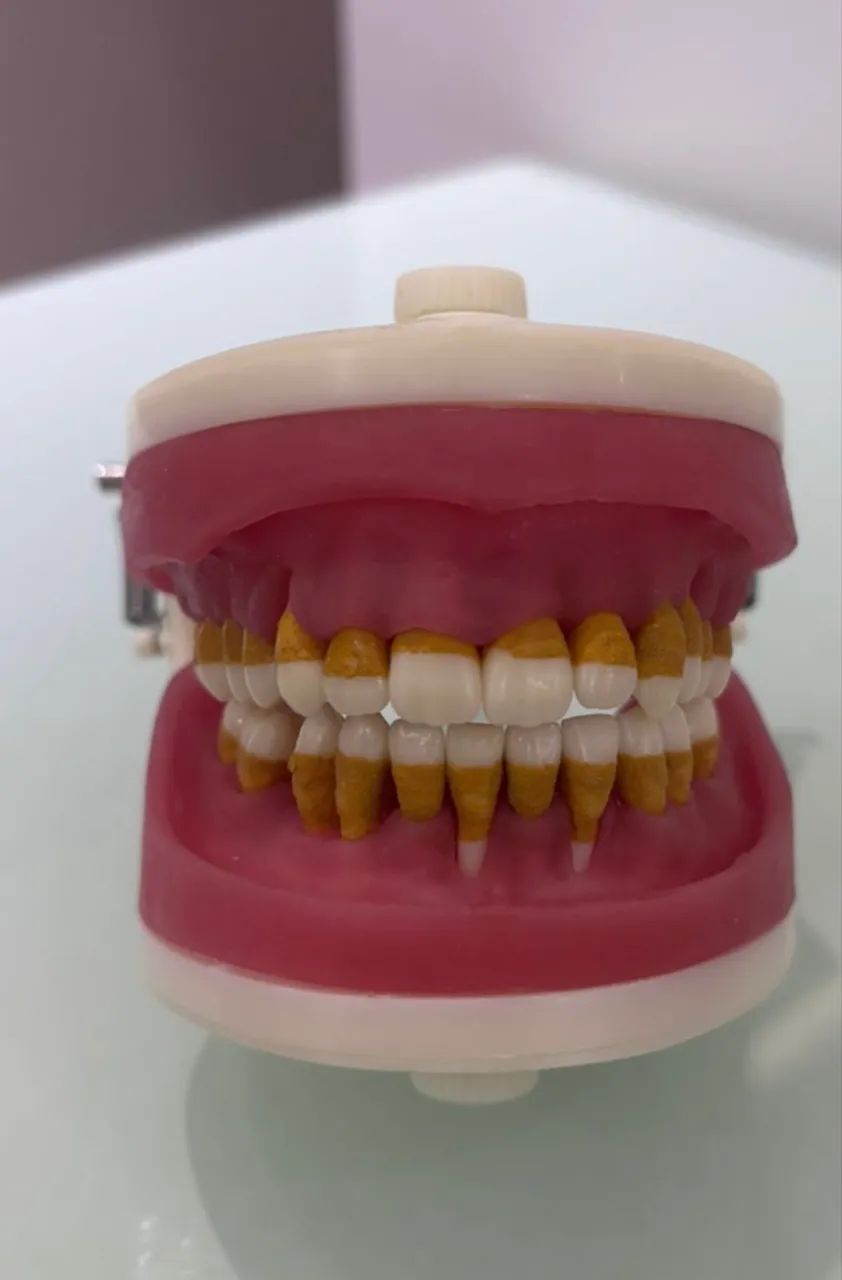 Manequim Periodontia Pronew