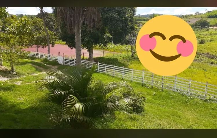 Venda  - Foto 4