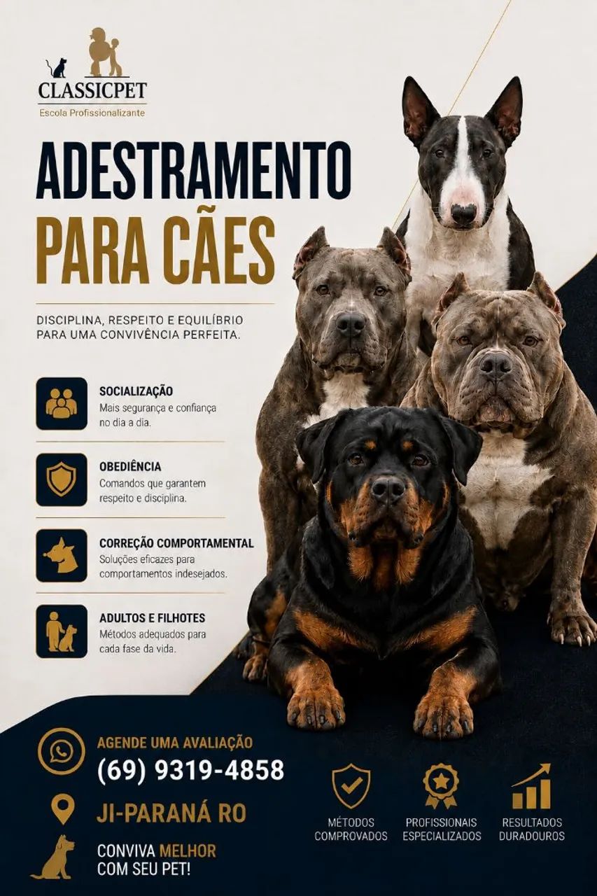 Adestramento para cães  - Foto 2